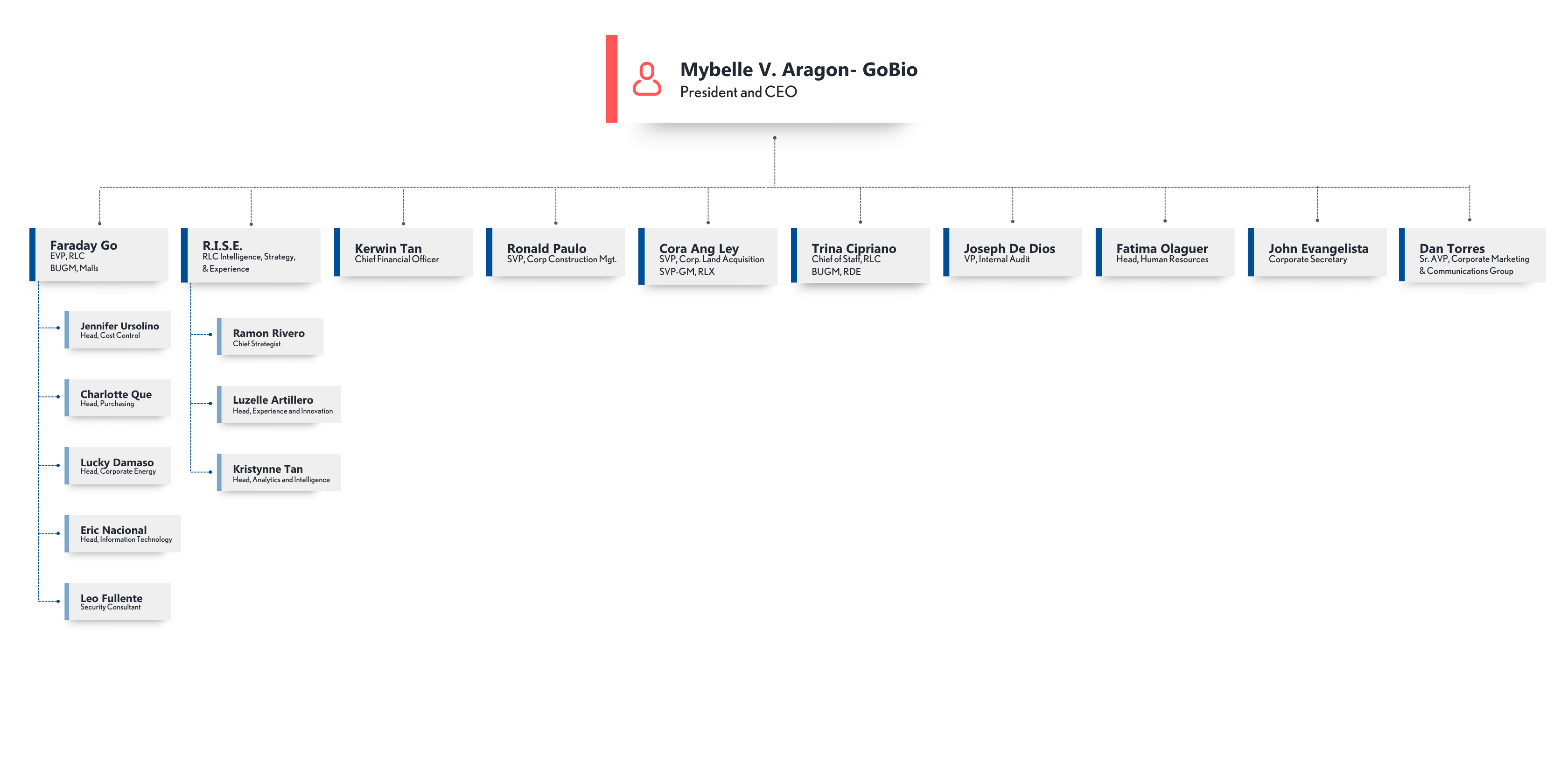 Organizational Chart CCU